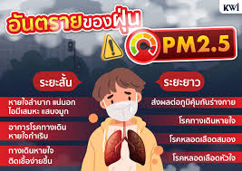 อันตรายจากฝุ่น pm 2.5